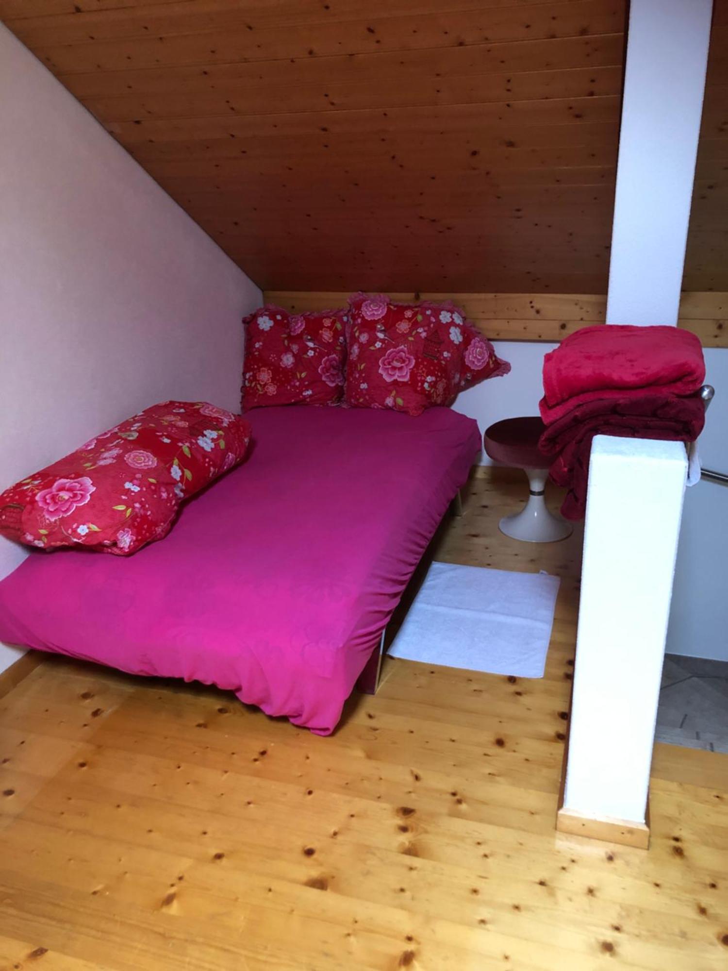 Apartment Ganze Mit Garten Nähe Grotti Biasca